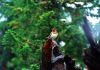 Filename=027(Drozd).jpg
Filesize=1278KB
Dimensions=1024x718
Date added=Aug 22, 2006 027(Drozd).jpg