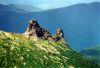 Filename=059(Kit).jpg
Filesize=1391KB
Dimensions=1118x768
Date added=Aug 22, 2006 059(Kit).jpg