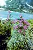 Filename=207.jpg
Filesize=715KB
Dimensions=508x768
Date added=Aug 22, 2006 207.jpg