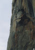 Filename=2.jpg
Filesize=772KB
Dimensions=1424x2048
Date added=Jun 30, 2005 2.jpg